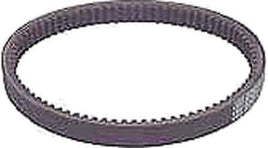 DRIVE BELT 67-81  COY