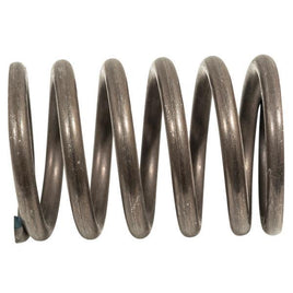 VALVE SPRING, CC EX40 2015-UP