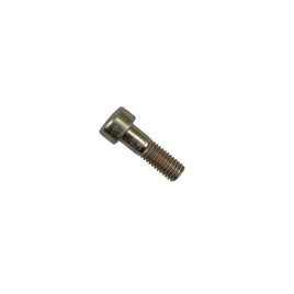 BOLT, HEX SOCKET CAP, M10, ZINC PLATED