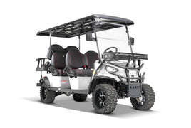 6 Passenger OG Kandi Kruiser Lithium Model (LSV/Non-LSV)