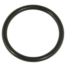 O RING,CRANKSHAFT,CHD 63-81