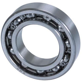 BALL BEARING 6007