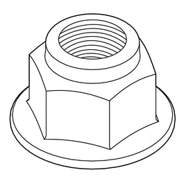 Hex Nut