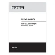 RM, TXT Valor, KEFI, EZGO