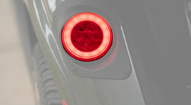 TAILLIGHT,PREM LED,RXV,LH-ASSY