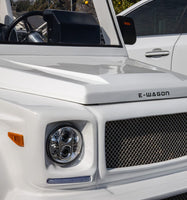 Bremark E- Wagon (LSV)