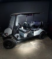 2026 EZGO Express 6 Elite Lifted (Platinum)