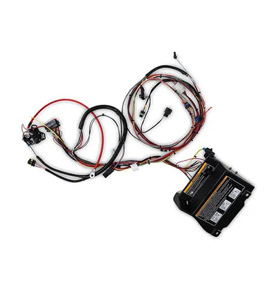 SVC-HARNESS,ELEC,ASSY,HD SOLENOID - EZGO OEM | Canyon Lake Mobile