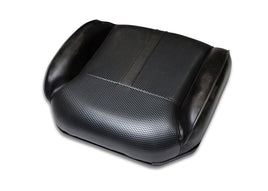 CUSTOM,SEAT BACK,CARBON FIBER