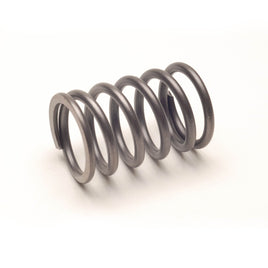 NGGC SPRING-ENGINE VALVE