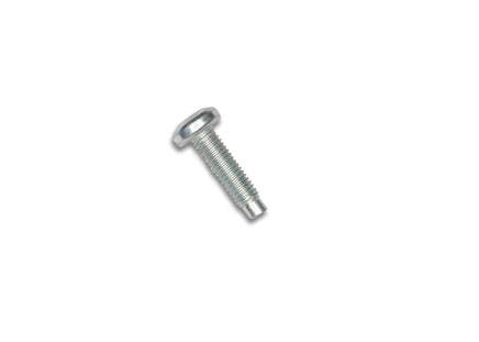 Torx Pan Head Screw (M8-1.25X30)