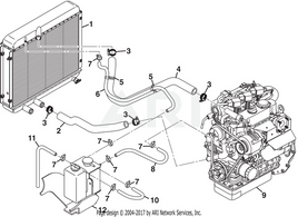HOSE, LOWER RADIATOR