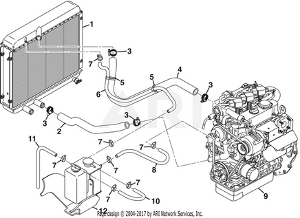 HOSE, LOWER RADIATOR