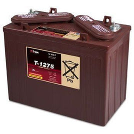 12V Lead Acid BATTERY, - EZGO OEM | Canyon Lake Mobile
