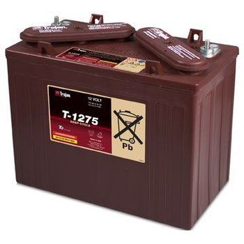 12V Lead Acid BATTERY, - EZGO OEM | Canyon Lake Mobile