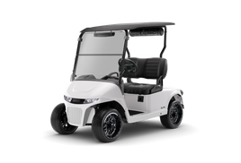 PAINTED,AFTERMARKET,BRIGHT WHITE-KIT