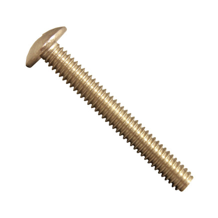 SCREW-PHPS-SS-1/4-20