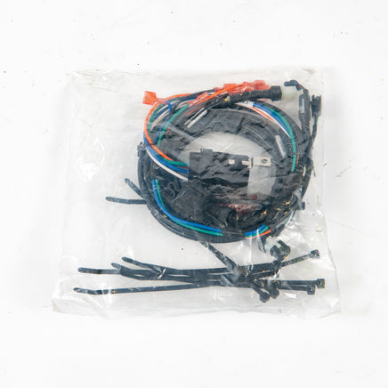 HARNESS, TKV V2, RXV, E, LAGACY -KIT - EZGO OEM | Canyon Lake Mobile