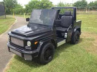 Bremark E- Wagon (LSV)