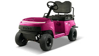 Kandi Collapsible Mini Golf Cart